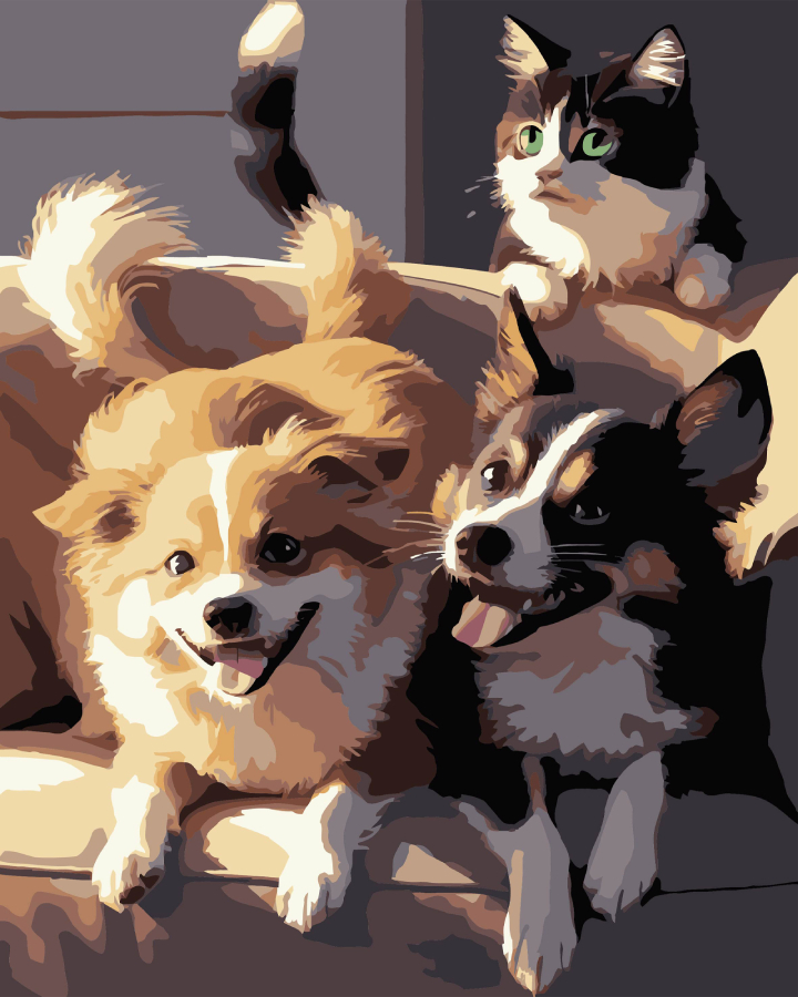 Картина за номерами Strateg Дві собаки і кіт на чорному фоні 40х50 см (AH1190-17) - Фото 1