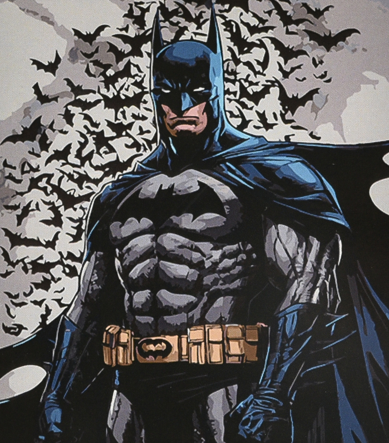 Картина по номерам Strateg Герой в накидке 40х50 см (VA-4627) - Фото 1