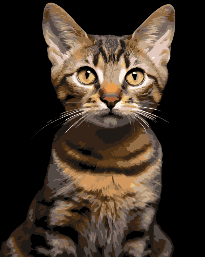 Картина за номерами Strateg Смугастий кіт 40х50 (AH1284) - Фото 1