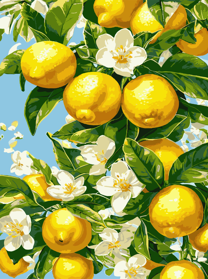 Купити Картина за номерами Strateg Лимонне дерево 30х40 (SS-1251) - Фото 1 Картина за номерами Strateg Лимонне дерево 30х40 (SS-1251) - Фото 1