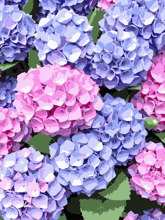 Картина за номерами Strateg Гортензії 30х40 (SS-1284) - Фото 1