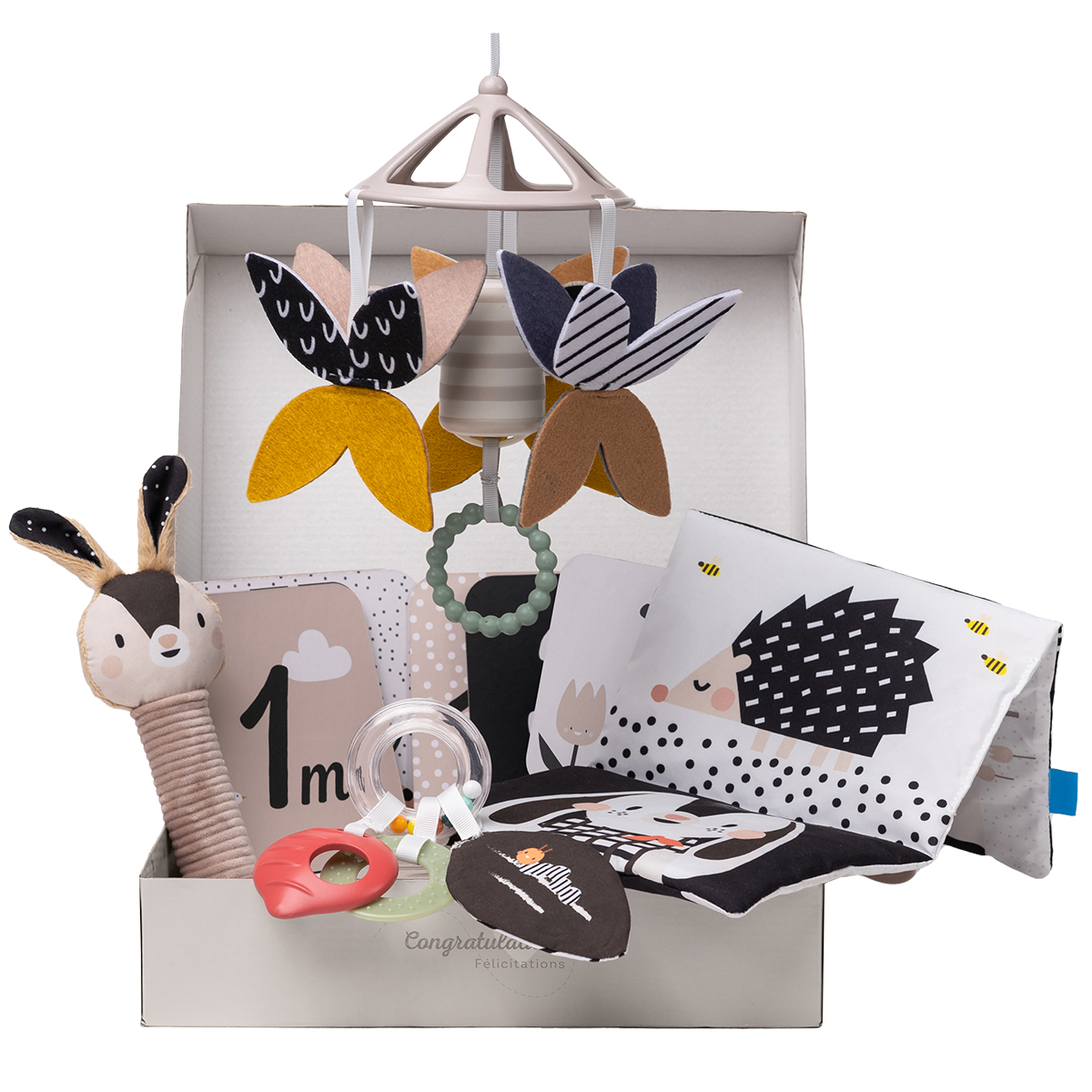 Игровой набор для малыша Taf Toys Садик в городе – ЧЕРНО-БЕЛАЯ ГАРМОНИЯ (13475) - Фото 1