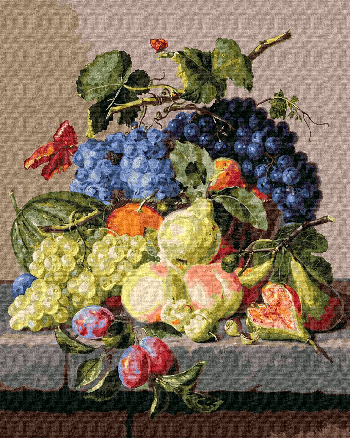 Купити Картина за номерами Ideyka "Оксамитовий натюрморт" 40x50 см (KHO5655) - Фото 1 Картина за номерами Ideyka "Оксамитовий натюрморт" 40x50 см (KHO5655) - Фото 1