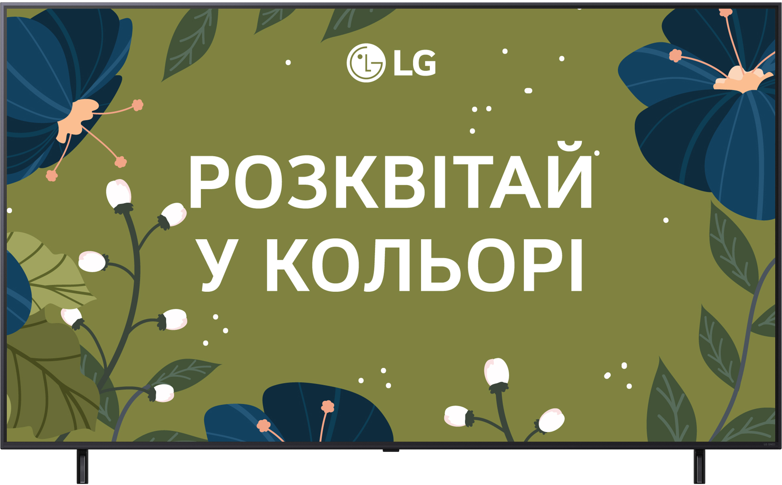 Телевізор LG 43QNED80A6A