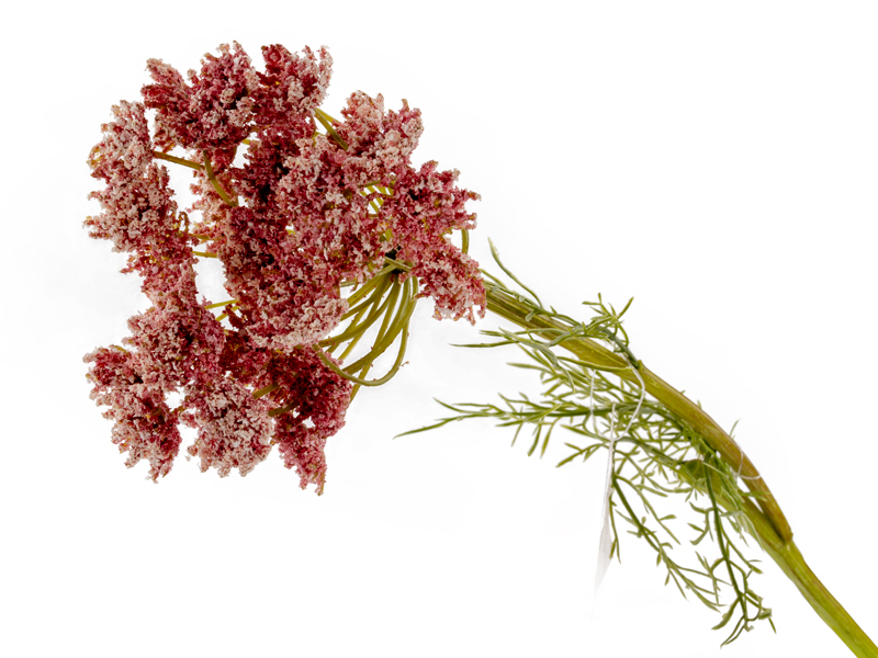 Ветка декоративная Lefard укропа розовая 80 см (820-033) - Фото 1