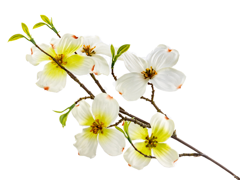 Ветка декоративная Lefard Дерен белая 75 см (821-085) - Фото 1