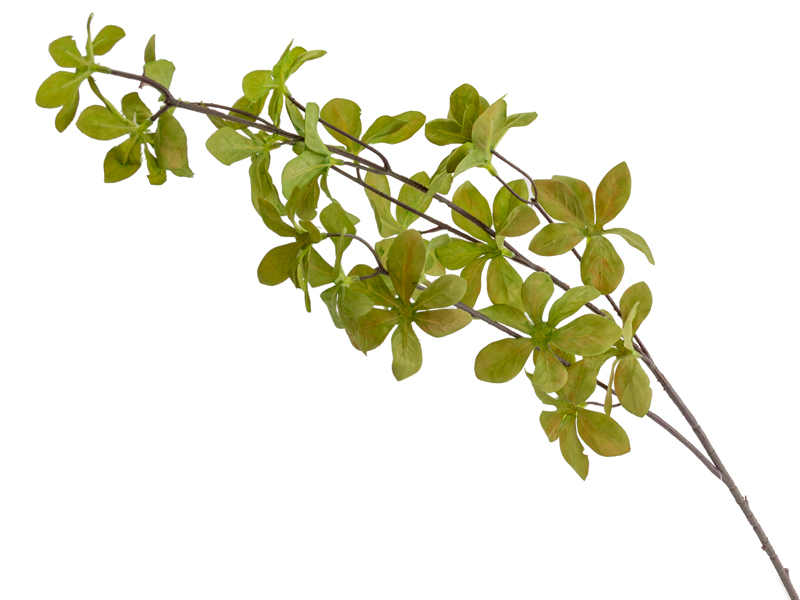Ветка декоративная Lefard Акебия зеленая 68 см (821-094) - Фото 1