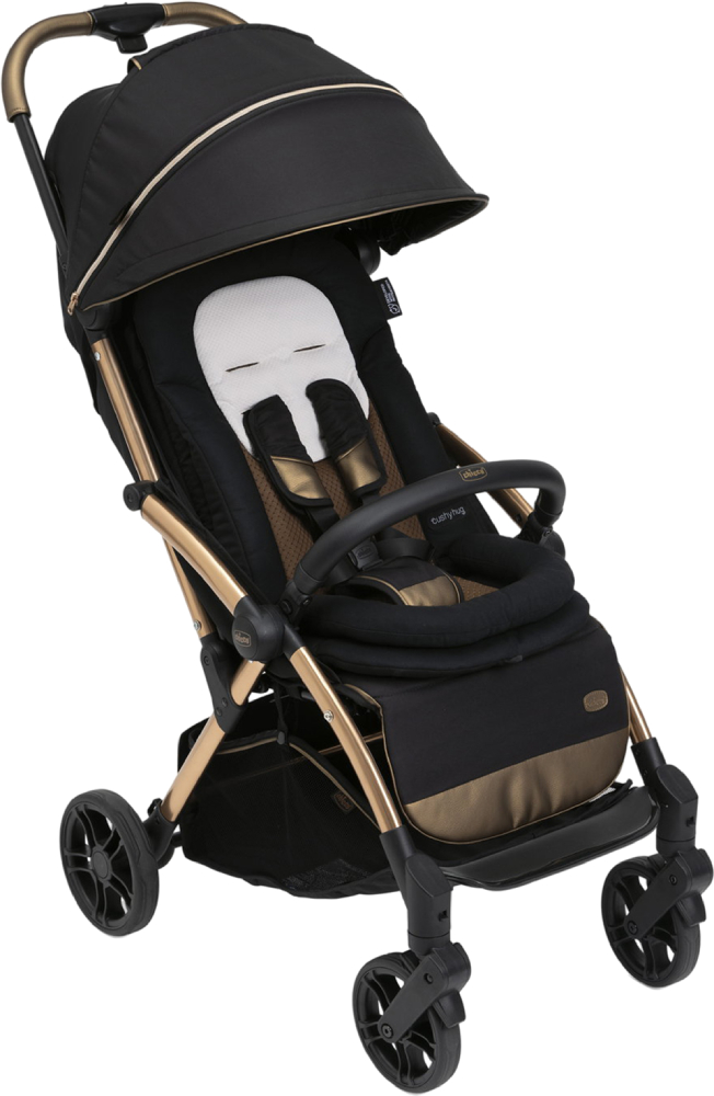 Коляска прогулочная Chicco Goody Primo Stroller (87069.72) - Фото 1