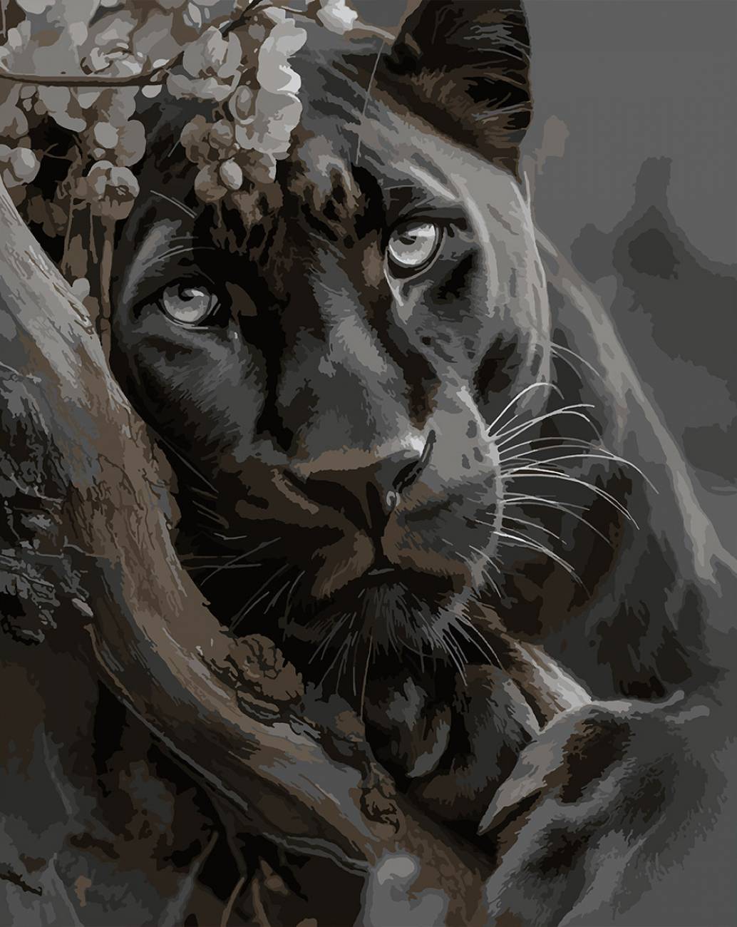 Купити Картина за номерами Santi Чорна пантера 40х50 см (955763) - Фото 1 Картина за номерами Santi Чорна пантера 40х50 см (955763) - Фото 1