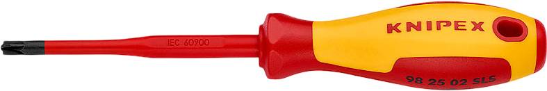 Купить Отвертка KNIPEX Pozidriv (98 25 02 SLS) - Фото 1 Отвертка KNIPEX Pozidriv (98 25 02 SLS) - Фото 1