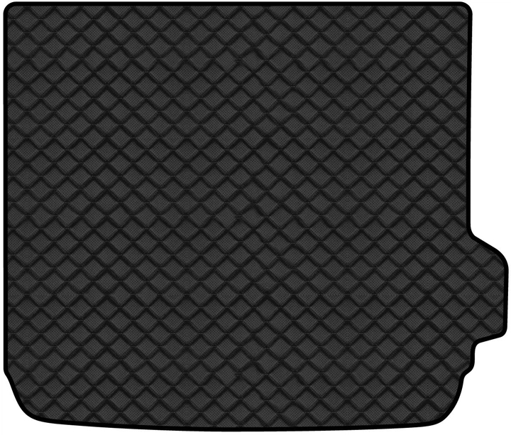 Коврик из экокожи в багажник авто EVAtech ECO для X4 (GO2) BMW 2018 2 поколение SUV EU BM1421BH1BBLB - Фото 1