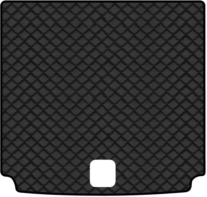 Коврик из экокожи в багажник авто EVAtech ECO для X4 (GO2) BMW 2018 2 поколение SUV USA BM13384BO1BBLB - Фото 1