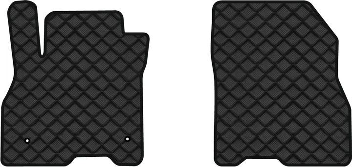 Купити Килимки з екошкіри в салон авто передні EVAtech ECO для Leaf (ZE0) Nissan 2010-2017 1 покоління Htb EU NS1687AV2LA2BBB - Фото 1 Килимки з екошкіри в салон авто передні EVAtech ECO для Leaf (ZE0) Nissan 2010-2017 1 покоління Htb EU NS1687AV2LA2BBB - Фото 1