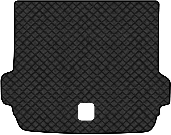 Коврик из экокожи в багажник авто EVAtech ECO для X4 (GO2) BMW 2018 2 поколение SUV USA BM13384BD1BBLB - Фото 1