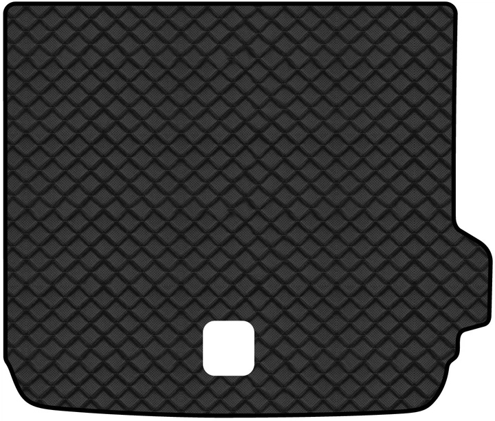 Коврик из экокожи в багажник авто EVAtech ECO для X4 (GO2) BMW 2018 2 поколение SUV USA BM13384BA1BBLB - Фото 1