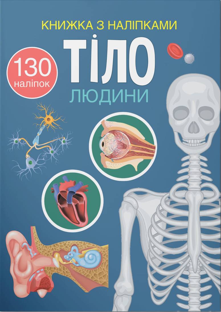  Crystal Book Книжка з наліпками. Тіло людини (9786175470466)