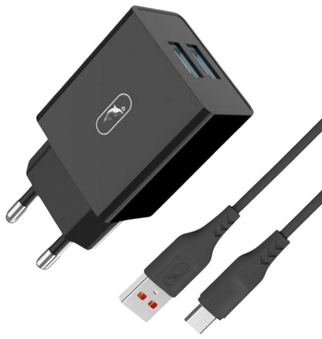 Сетевое зарядное устройство SkyDolphin SC30V 2USB, 2.1A Black (SDMZP-000172)+кабель microUSB - Фото 1