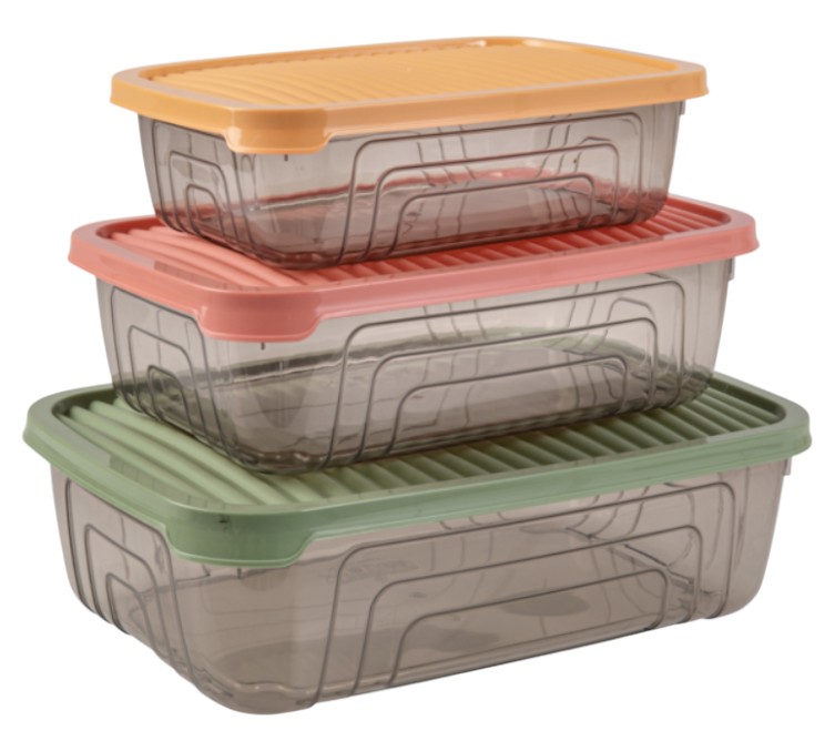 Набір ємностей для зберігання Herevin Rectangular Storage Bowl Set-2024 Colours 3 шт. (163331-150) - Фото 1