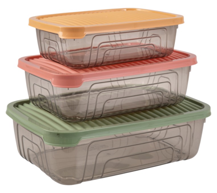 Набір ємностей для зберігання Herevin Rectangular Storage Bowl Set-2024 Colours 3 шт. (163332-150) - Фото 1