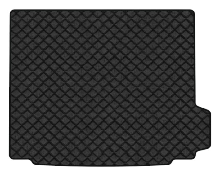 Коврики из экокожи в багажник авто EVAtech ECO для X3 (F25) BMW 2010-2017 2 поколение SUV EU (BM31875BO1BBB) - Фото 1