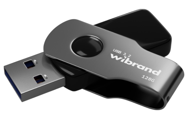 Флеш USB Wibrand USB 3.2 Gen1 Lizard 128GB Black (WI3.2/LI128P9B) - Фото 1