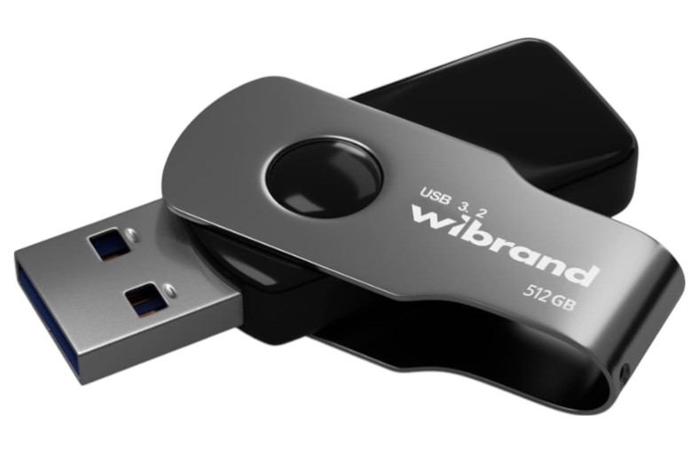 Флеш USB Wibrand USB 3.2 Gen1 Lizard 512GB Black (WI3.2/LI512P9B) - Фото 1