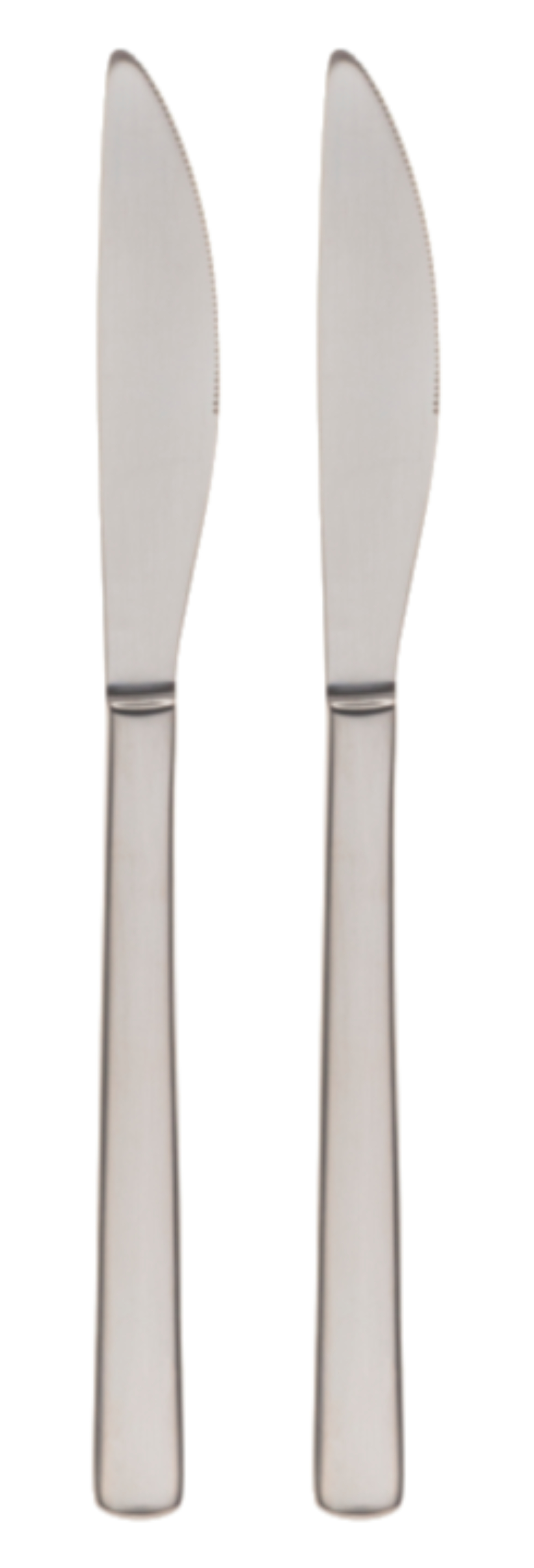 Набор ножей столовых Bergner Nice 2 пр. (BG-5361-MM) - Фото 1