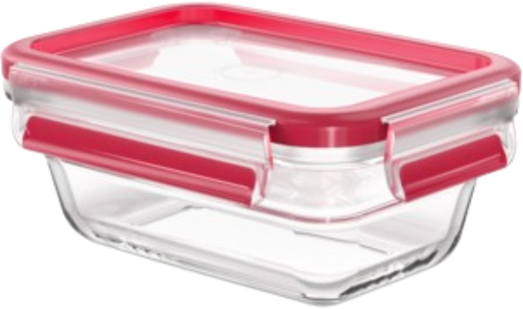 Ємність для зберігання Tefal N1040510 Master Seal 0,45 л - Фото 1