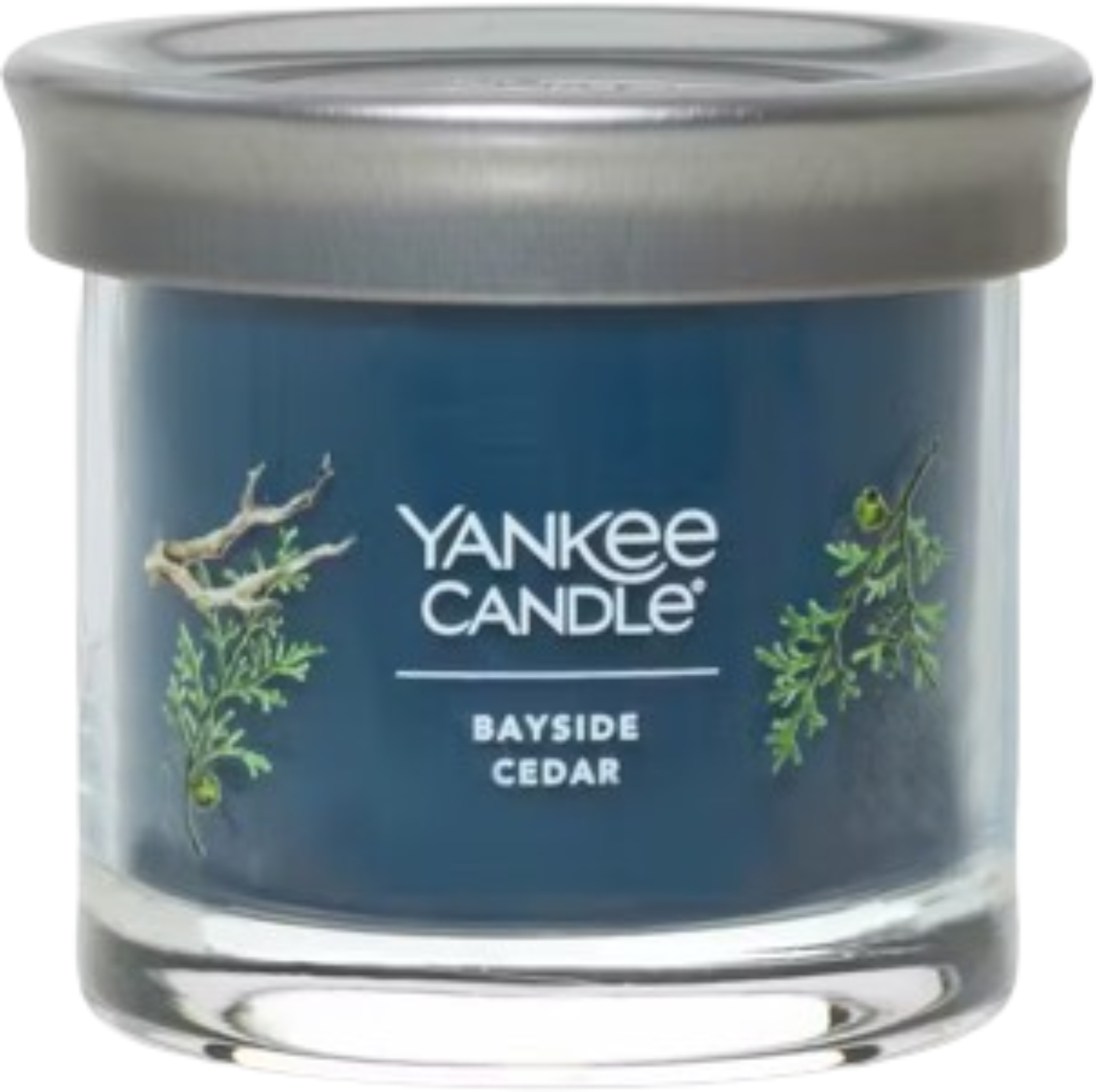 Свеча стекло Yankee Candle Small Bayside Cedar (Прибрежный Кедр) 122 г (1744755E) - Фото 1