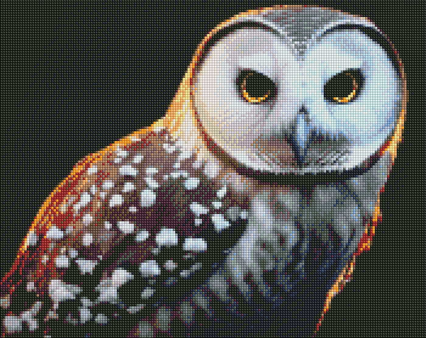 Алмазний живопис Ideyka Гордий погляд 40х50 см (AMO7445) - Фото 1