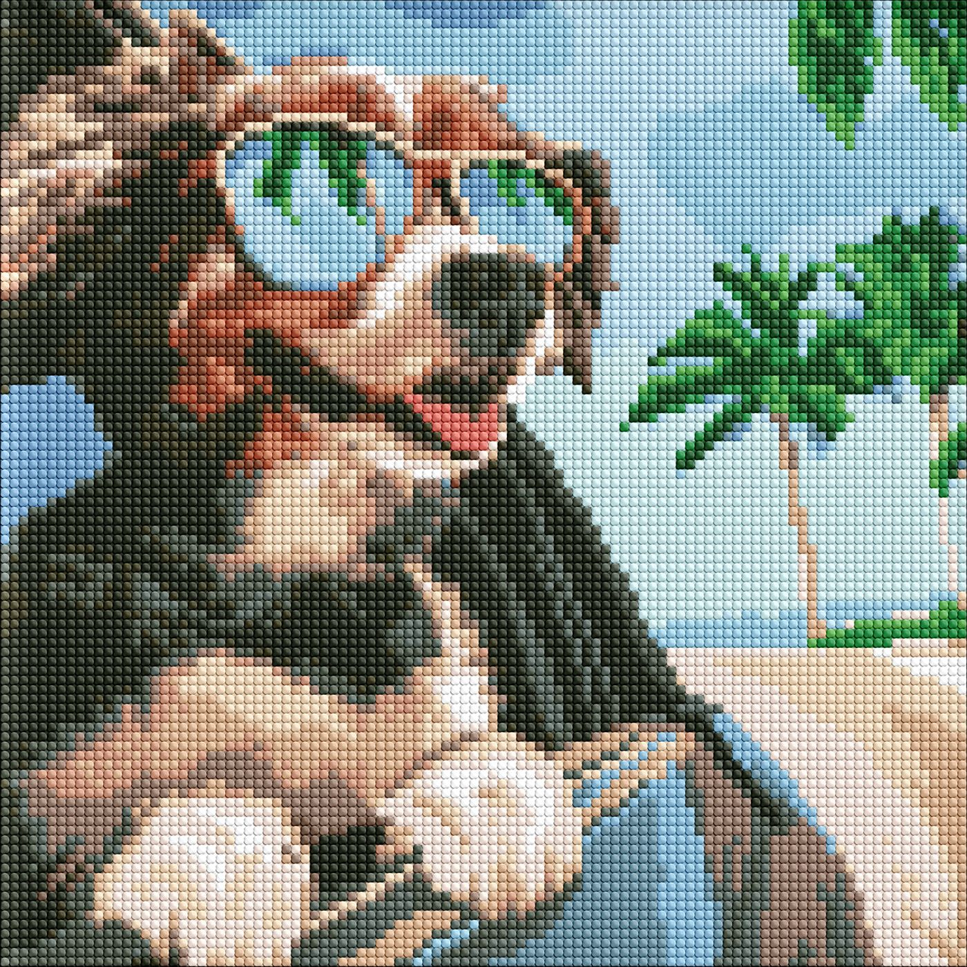 Купить Алмазная живопись Ideyka Путешествие в океан 30х30 см (AMO7711) - Фото 1 Алмазная живопись Ideyka Путешествие в океан 30х30 см (AMO7711) - Фото 1