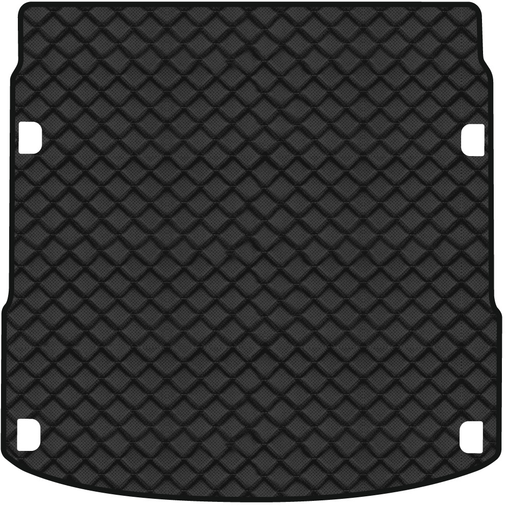 Коврик из экокожи в багажник авто EVAtech ECO для E-tron Quattro (GE) Audi 2018 1 поколение SUV Canada AU11958B1BBB - Фото 1