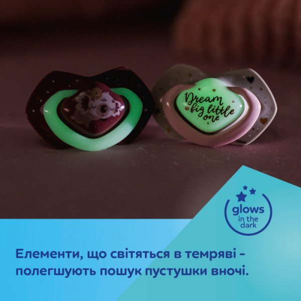 Фото - Симметричная пустышка Canpol babies 6-18 мес SLEEPY KOALA 2 шт. - синяя (22/659_blu)