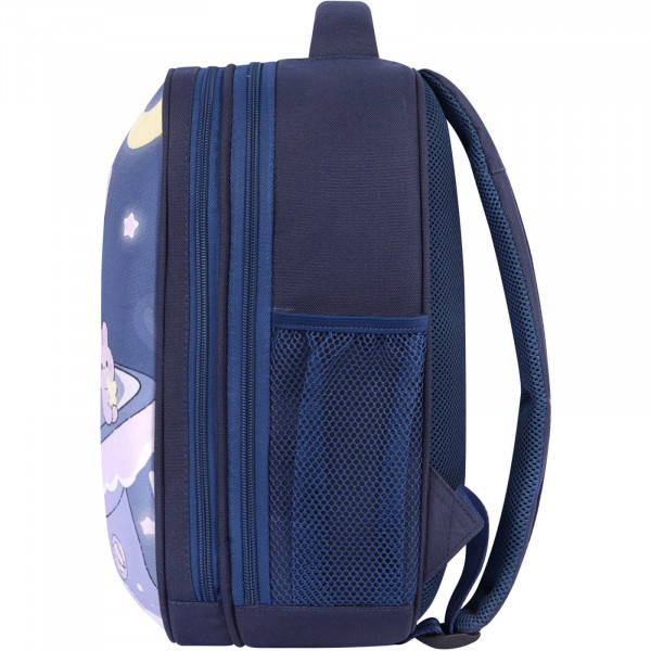Фото - Рюкзак школьный Bagland Turtle 17 л. 13466 330 чернильный 1351