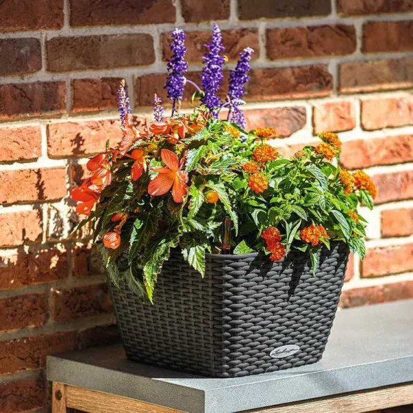 Фото - Вазон Lechuza 30 Cottage Bacino Графитовый черный 15468