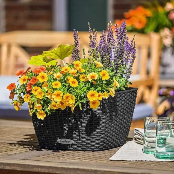 Фото - Вазон Lechuza 30 Cottage Bacino Графитовый черный 15468