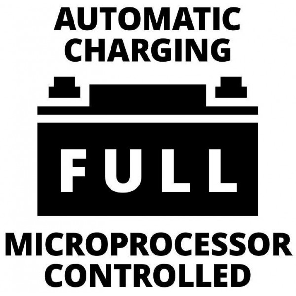 Фото - Пускозарядное устройство Einhell CE-BC 30 M (1002275)
