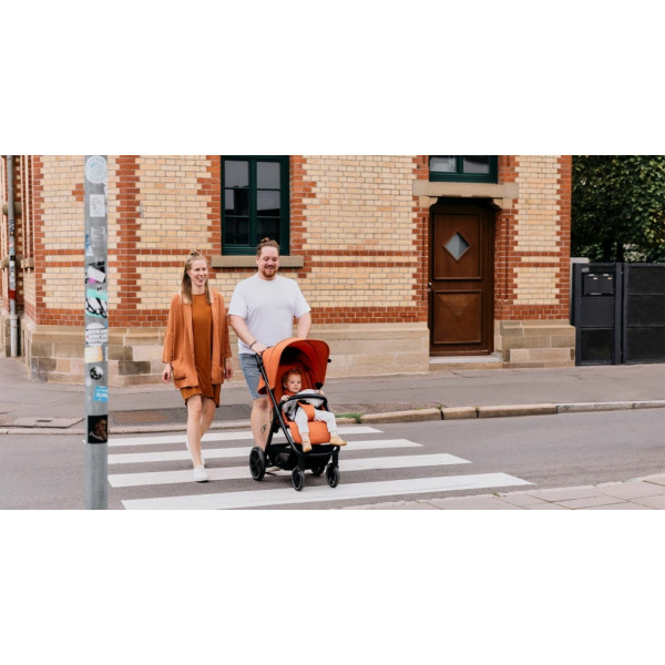 Фото - Коляска прогулочная ABC Design Avus Carrot