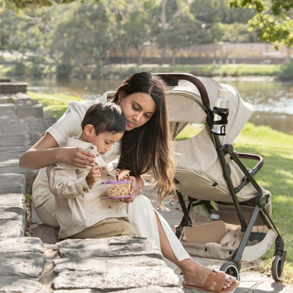 Фото - Коляска прогулочная Britax-Romer FLYLITE Teak