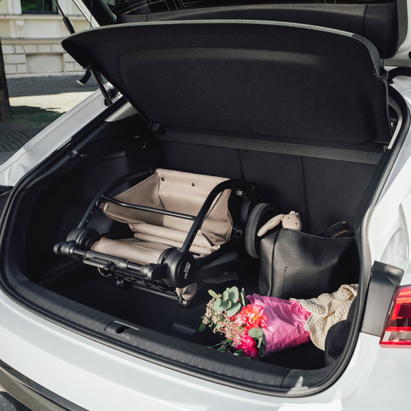 Фото - Коляска прогулочная Britax-Romer RIO Urban Olive (2000041615)