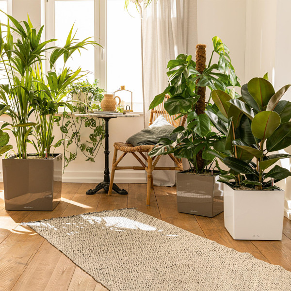 Фото - Вазон Lechuza CUBE 50/50/50 Premium Белый 16560