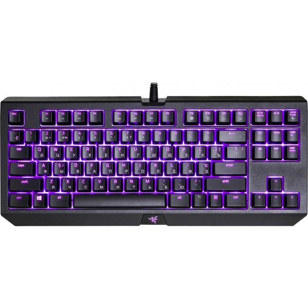 Фото - Клавиатура проводная игровая Razer BlackWidow TE Chroma V2 Green switch (RZ03-02190100-R3M1)