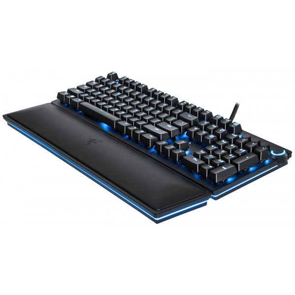 Фото - Клавиатура проводная игровая Razer Huntsman Elite (RZ03-01870100-R3M1)