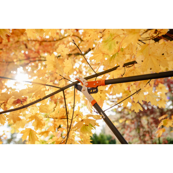 Фото - Ножницы садовые BRADAS с редуктором V-SERIES с наковальней (KT-V1230)