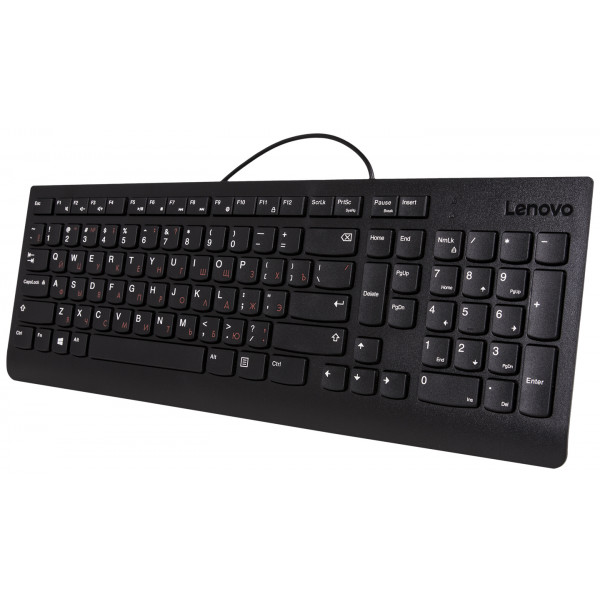 Фото - Клавиатура проводная Lenovo 300 USB (GX30M39684)