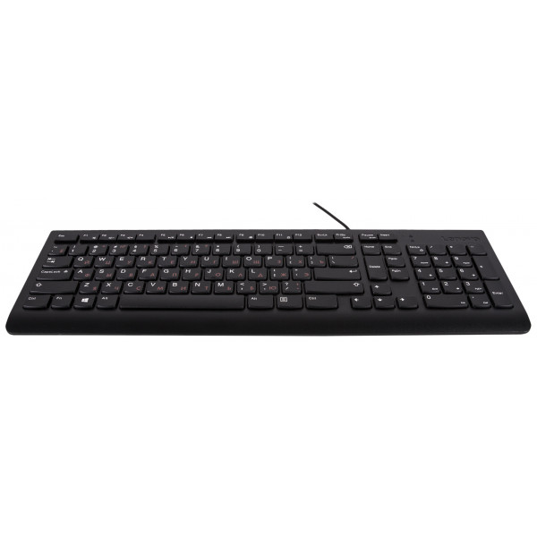 Фото - Клавиатура проводная Lenovo 300 USB (GX30M39684)