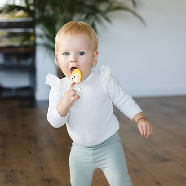 Фото - Погремушка BabyOno Львенок (1627)