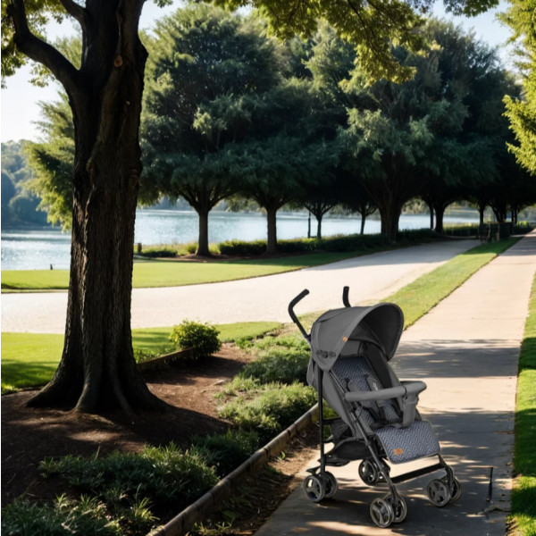 Фото - Коляска прогулочная Lionelo Elia Graphite