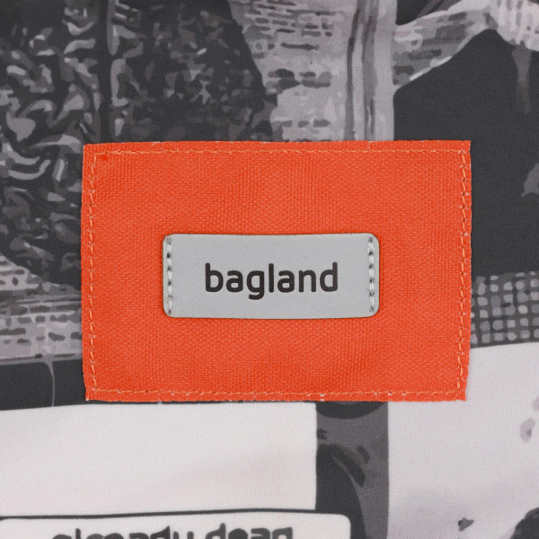 Фото - Рюкзак городской Bagland Stylish M 17 л. сублимация 1343 (1118320661)