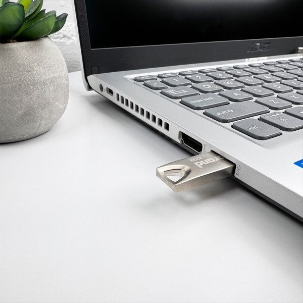 Фото - Флеш USB Wibrand 2.0 Taipan 32Gb Silver (WI2.0/TA32U2S)